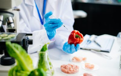 Nuevas exigencias en el transporte de productos alimentarios en 2026.